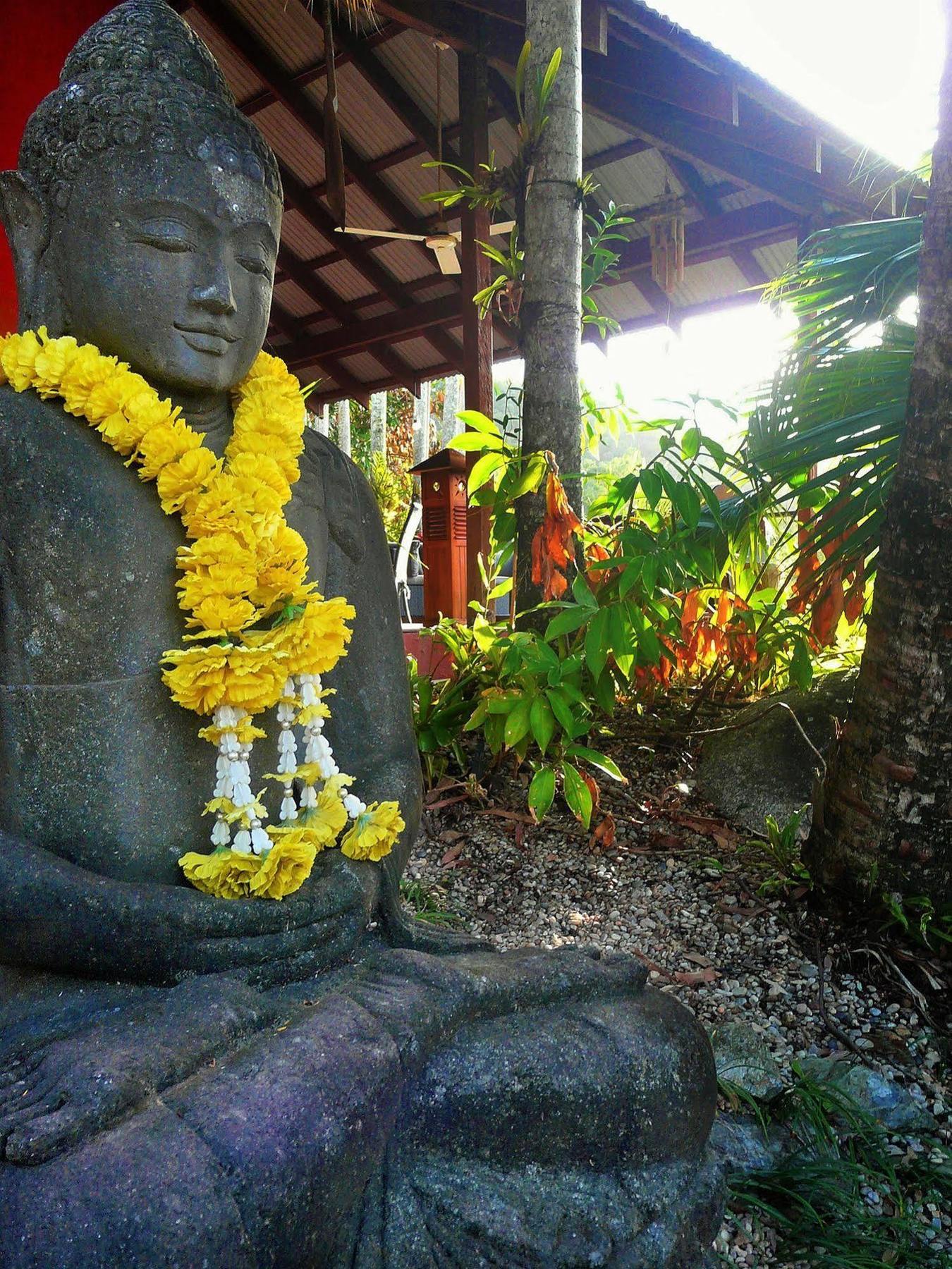 Mai Tai Resort Cassowary Kültér fotó